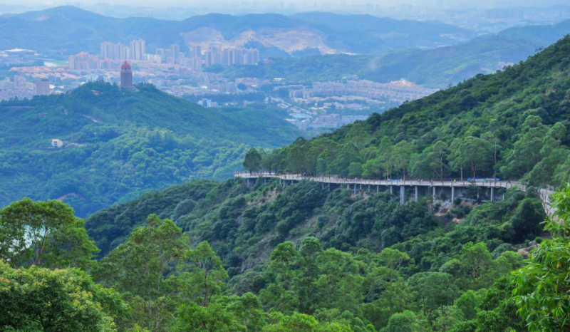 自然保护地整合优化：广东观音山国家森林公园将何去何从