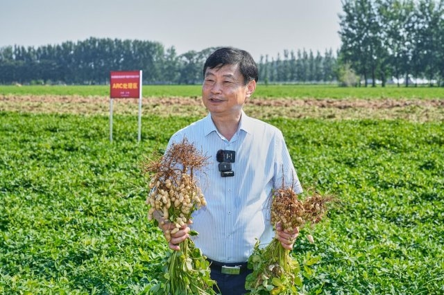 院士领衔攻坚克难！胡姬花全球花生产业食安科研实践启航