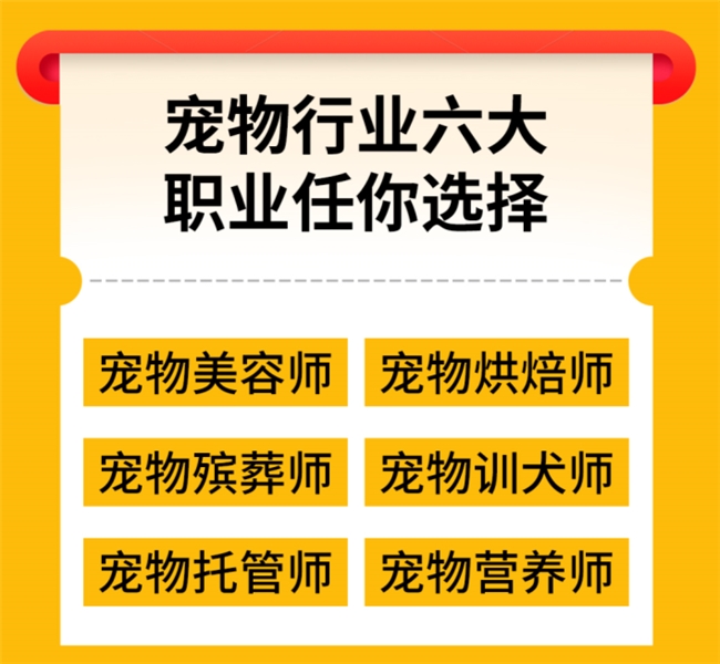 全国首家！灵宠大陆打造宠物行业职业技能培训基地